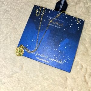 Taurus 14k gold dipped necklace